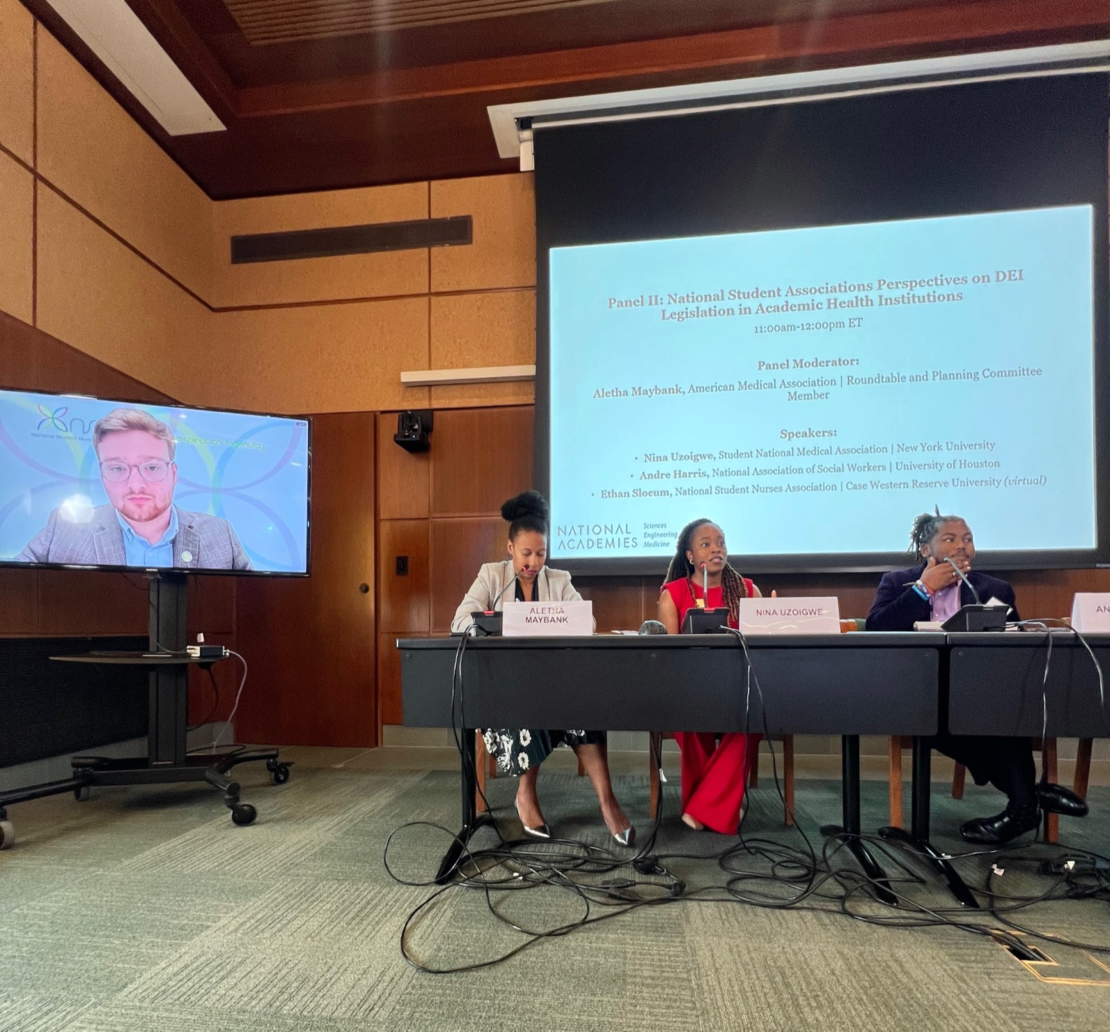 Nina speaking at National Academies panel